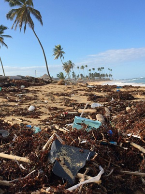 Big tech is using A.I. to combat microplastics and pollutants in the oceans