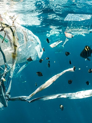 Ending Plastic Pollution: The Shift to a Plastic Circular Economy