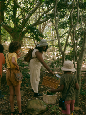 Foraging in Indonesia, Reviving a Forgotten Practice for Food Security