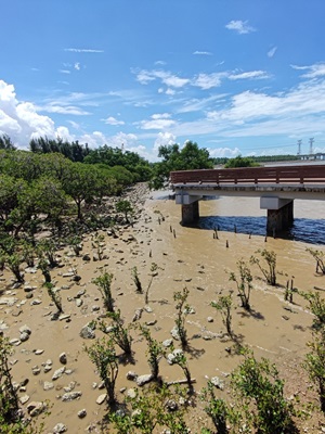 Preserving Deep Bay: Addressing the Ecological Impacts of Urbanisation in South China's Greater Bay Area