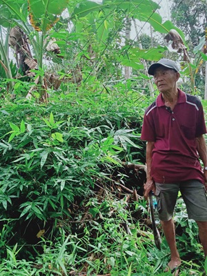 The Mentawai dream of generating electricity from bamboo failed