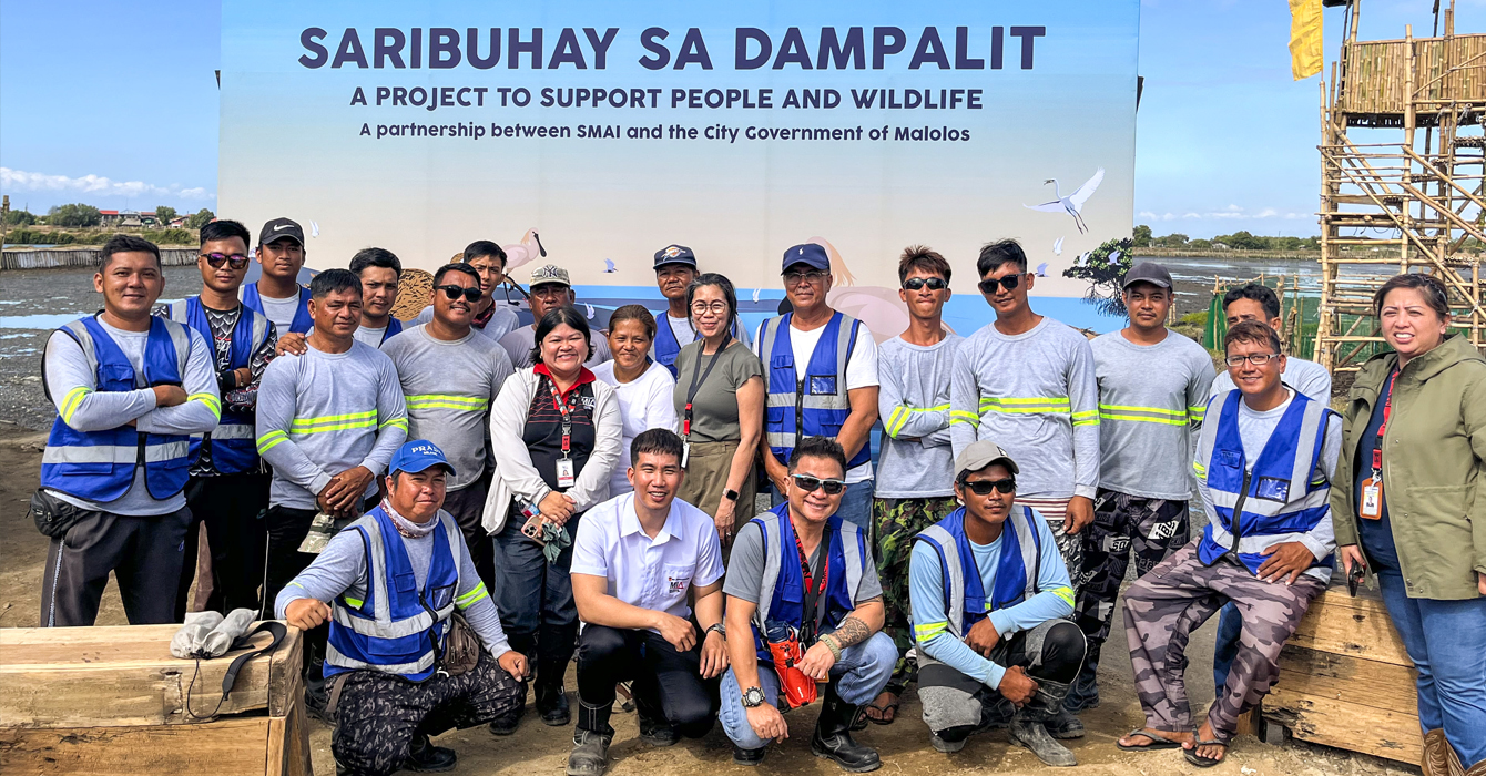 Recreating migratory bird habitat lost to airport construction