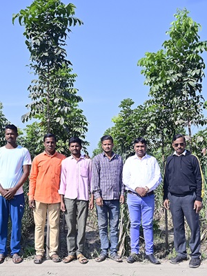 Creating carbon sinks, supporting farmers with mahogany plantation