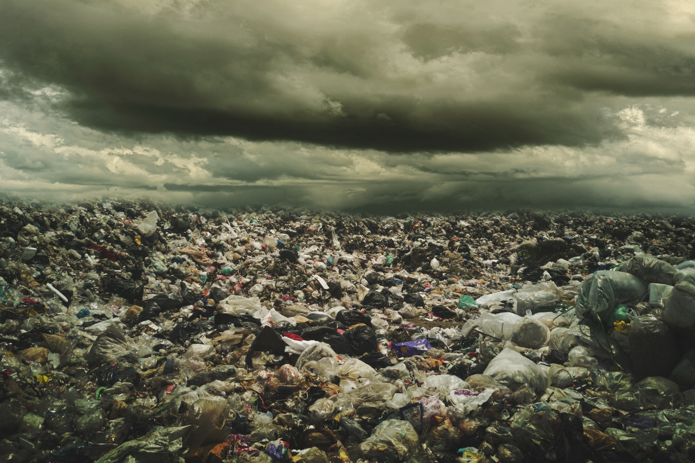 A generational divide? No, our ahmas and ahgongs are already environmentalists.
