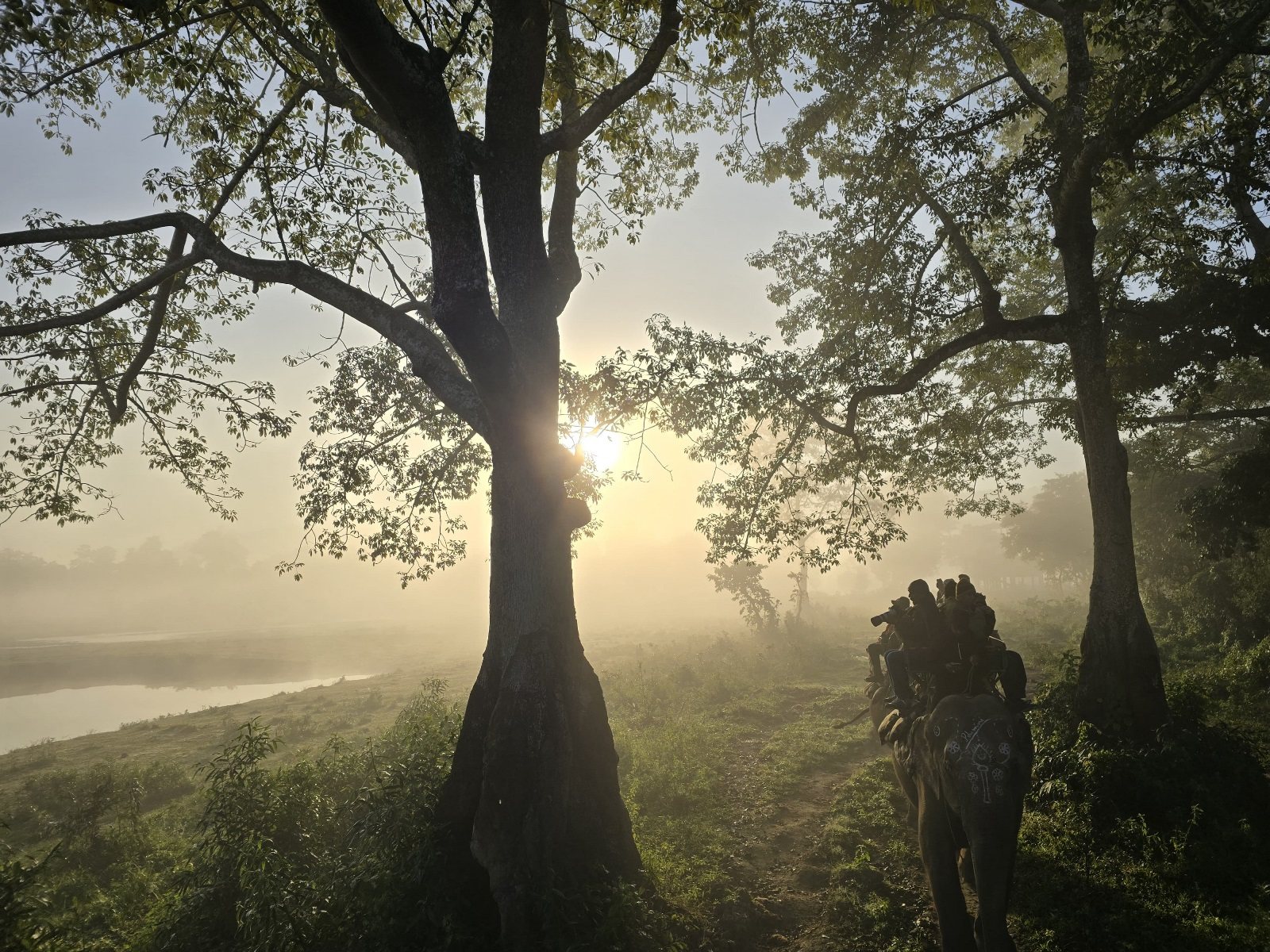 A Spectacle of Two Giants: Guilt, awe, and the weight of being human in Kaziranga