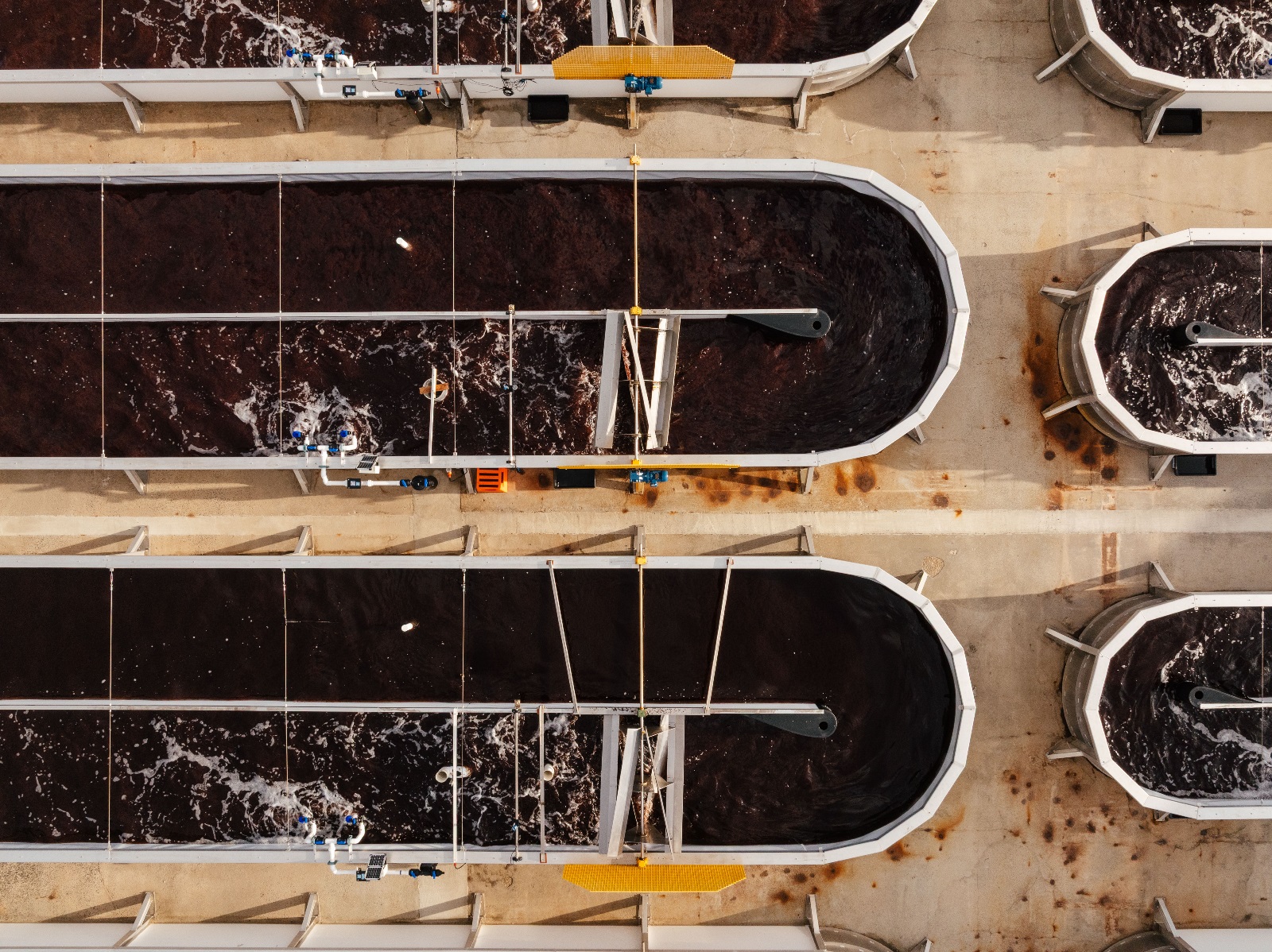 Rewriting the climate impact of cattle farming