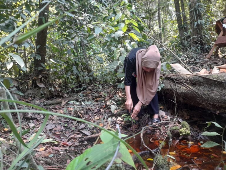 Ants Against Elephants: The Story of the Struggle of the Last Female Forest Guardians in the Peatlands of Pematang Rahim