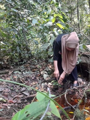 Ants Against Elephants: The Story of the Struggle of the Last Female Forest Guardians in the Peatlands of Pematang Rahim