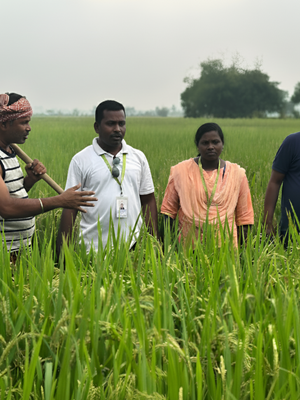 Bridging finance and resilience for India’s smallholder farmers