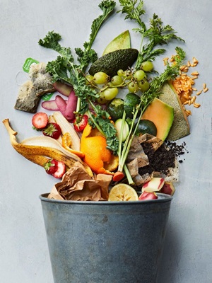 Compost and Other Forms of Hope