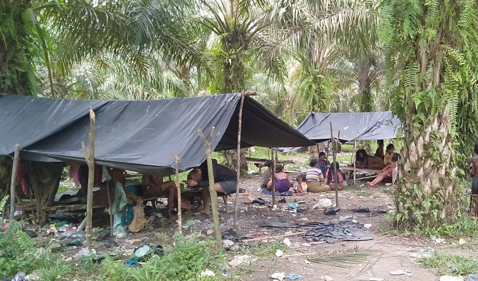 Development Inequality and Investment Undermine the Lives of Indigenous Orang Rimba Communities