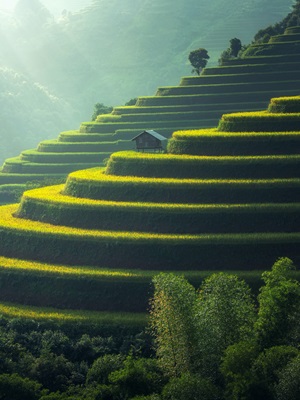Driving growth through sustainability: 3 solutions for brands Driving growth through sustainability: 3 solutions for brands