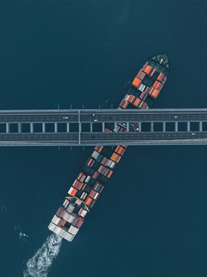 From Softwares to Deals: Trade and Stewardship in the Digital Era