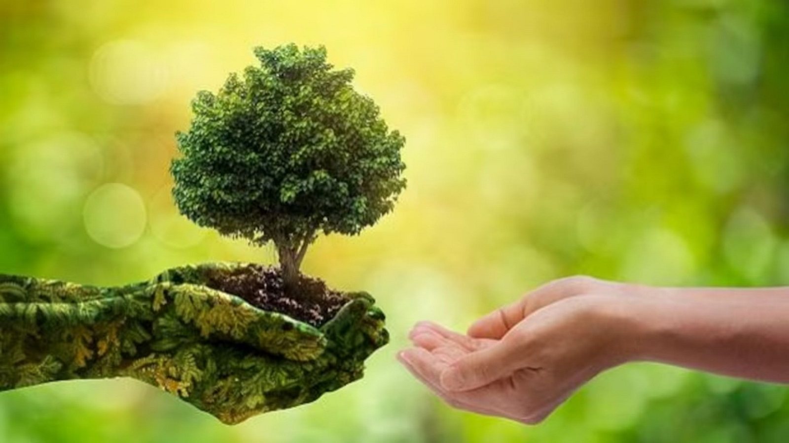 "From Silent Struggles to Strong Voices: A Call for Environmental Justice"