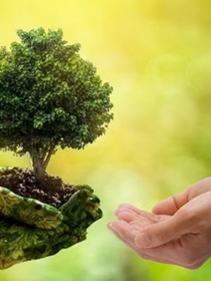 "From Silent Struggles to Strong Voices: A Call for Environmental Justice"