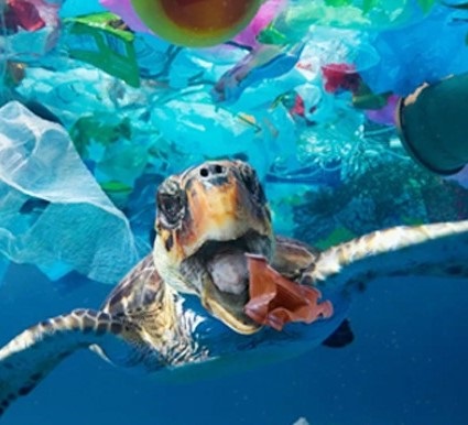Hope for a reversal of the plastics revolution Hope for a reversal of the plastics revolution