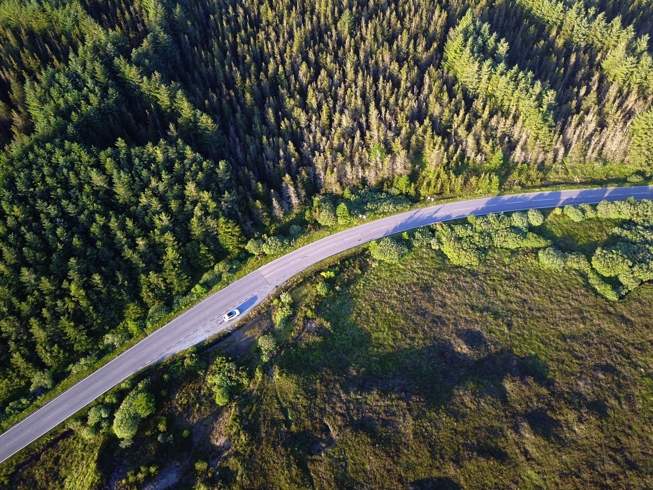 How boutique asset managers can leverage collective action