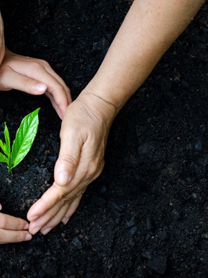 How building trust among employees is crucial during crises How building trust among employees is crucial during crises