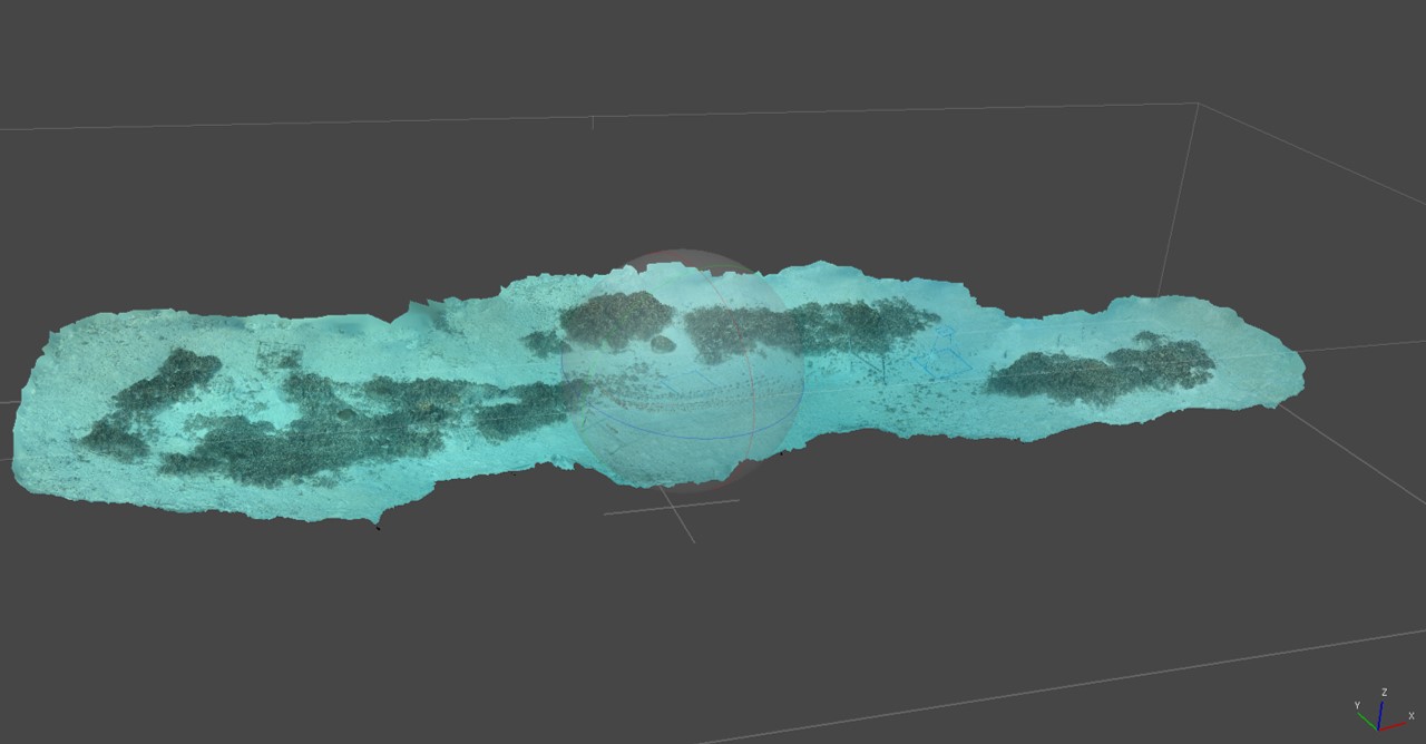 How Technology is Transforming Coral Reef Monitoring: The Promise of Photogrammetry for Coral Nurseries
