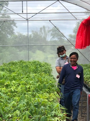 Creation of bioplastic through farm-led innovation