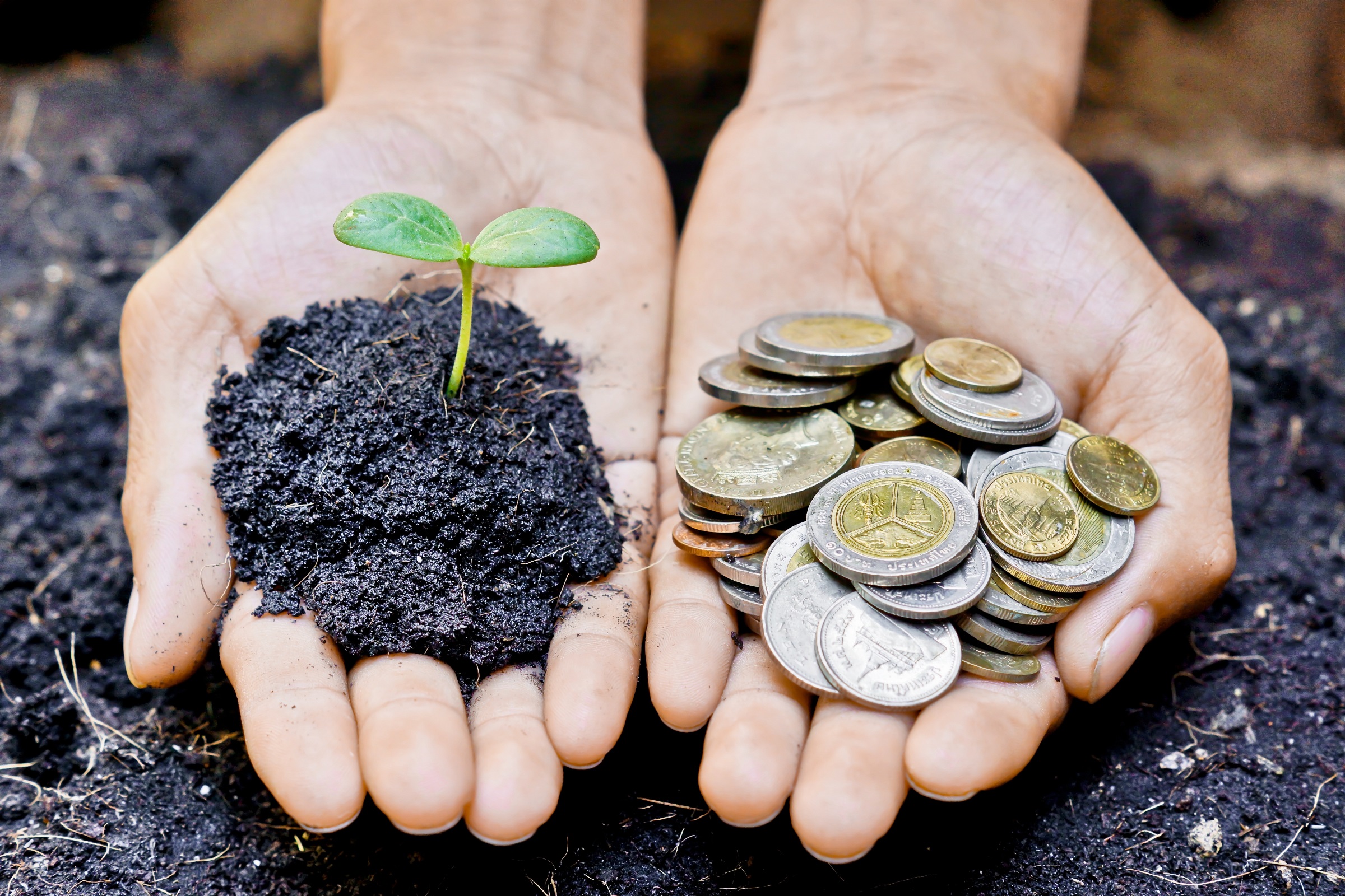 Is Sustainable Investing Really A Dangerous Placebo?