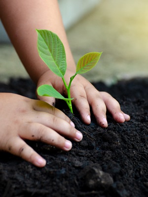 The road to an EV future still has a few potholes. Here's how to fix them The road to an EV future still has a few potholes. Here's how to fix them