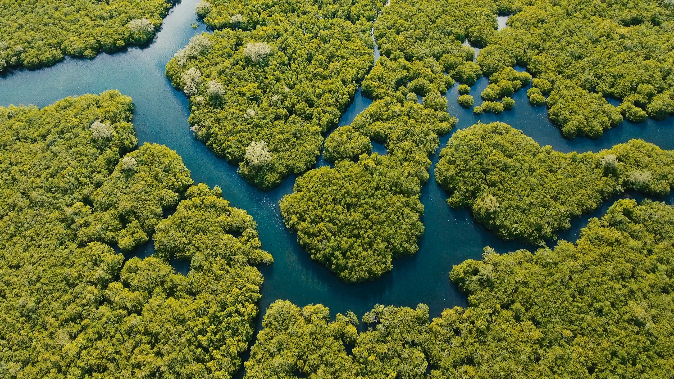 Why uncontrolled climate change may be an ultimate limit to growth