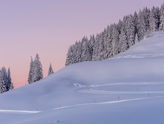 Broken Naive Pieces!