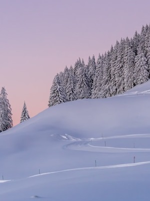 Broken Naive Pieces!