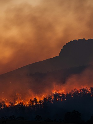 Climate Change Is Irreversible. What Now?