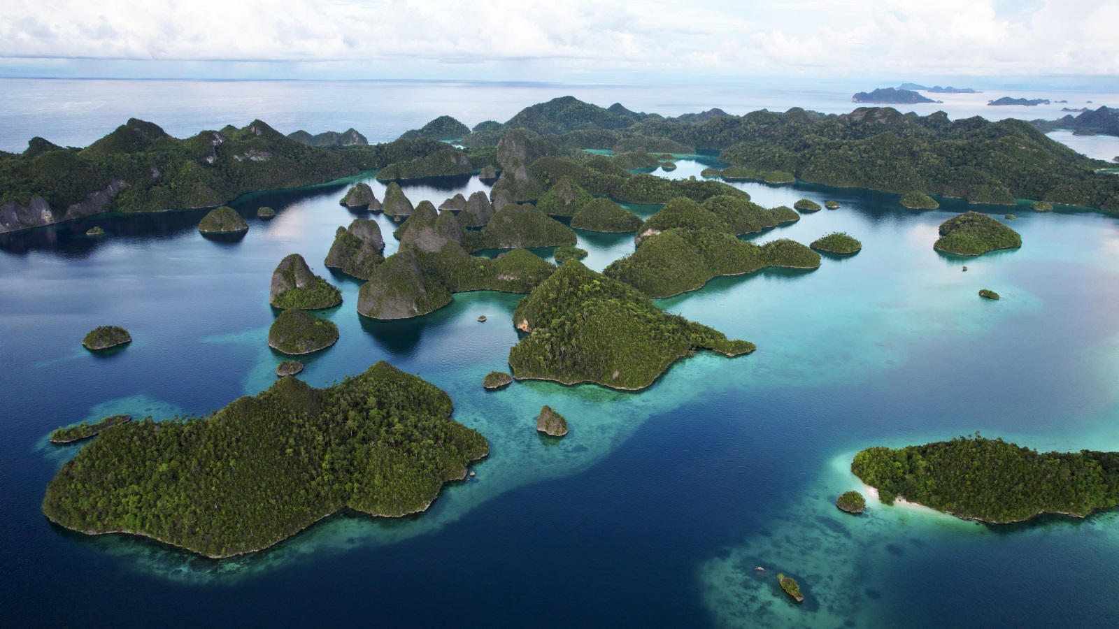 Activating coral paper parks through reef-positive enterprise