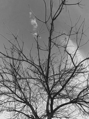 Peek into the Future