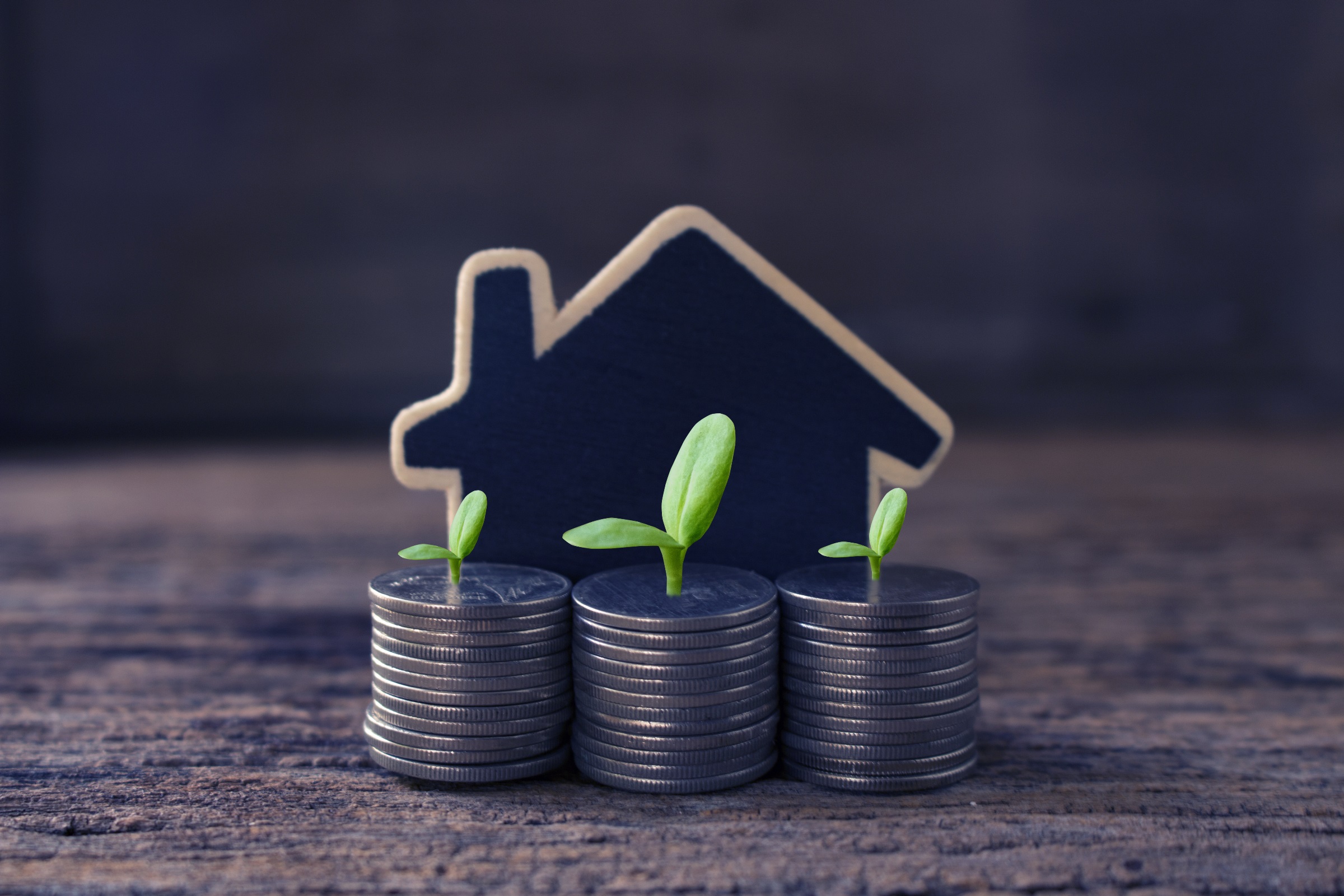 Sustainable investment: is it worth the hype? Here’s what you need to know