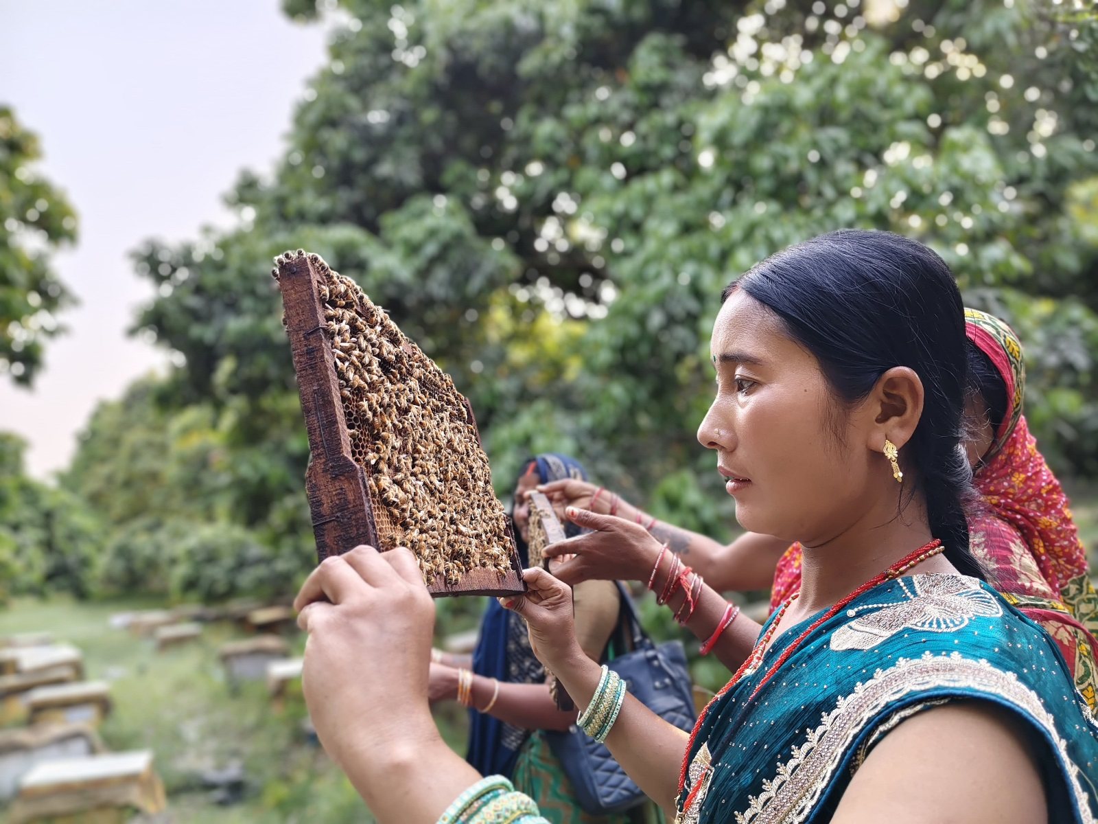 The Feminist Pollinator Economy