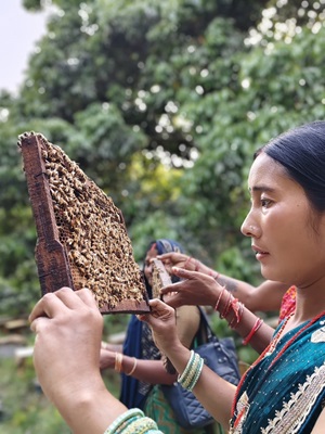 The Feminist Pollinator Economy