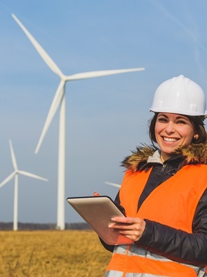 The greening of the job market The greening of the job market