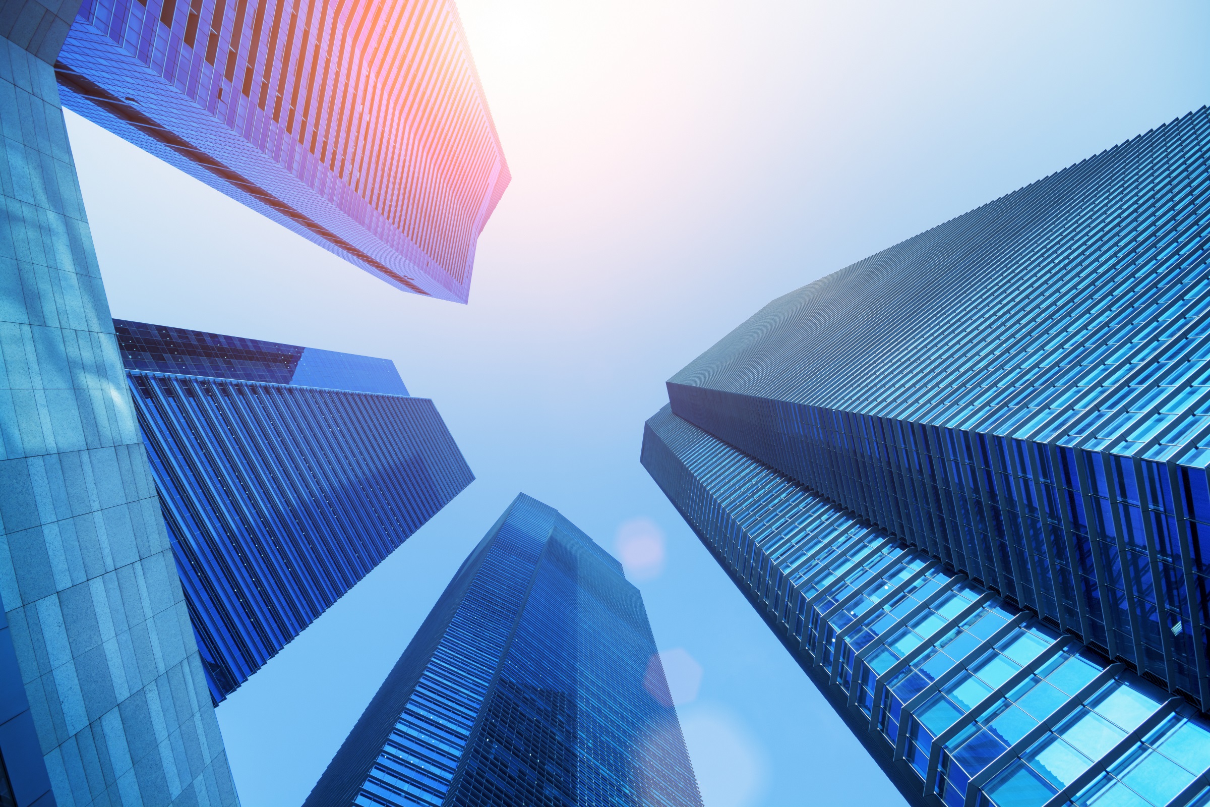 The purpose of a finance professor