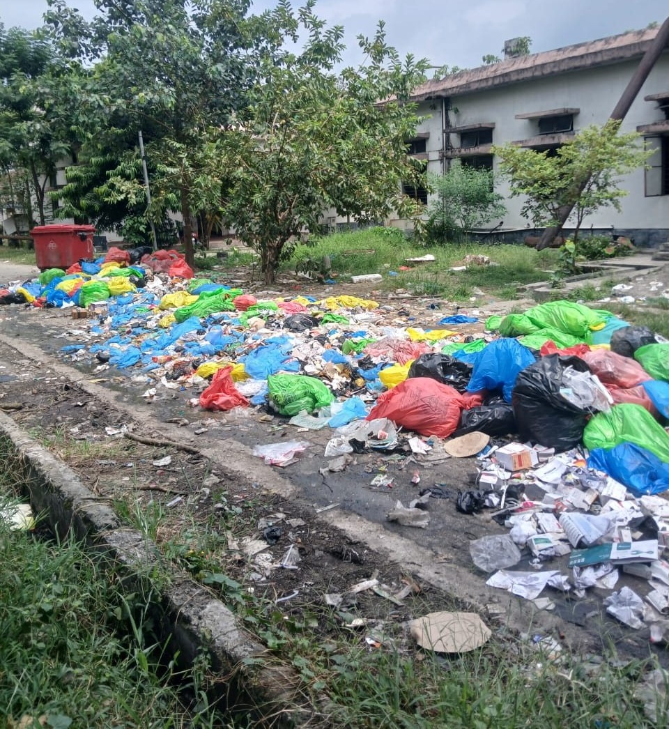 The Healing That Hurts Our Earth