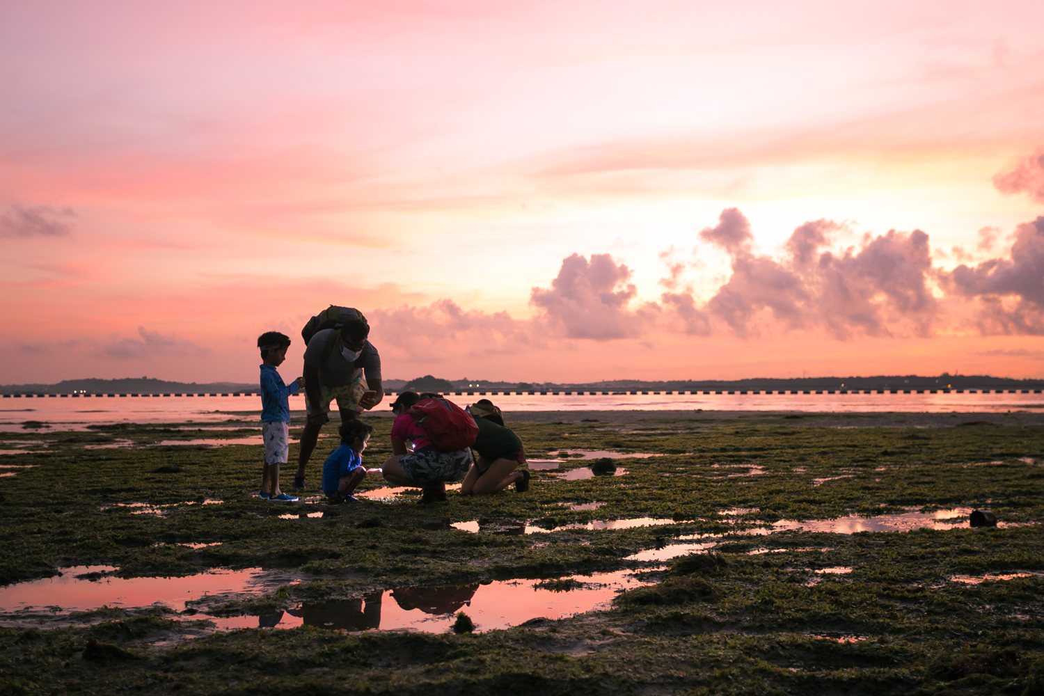 Walking between Sand, Sea and Sky: A Love Letter to Changi Beach