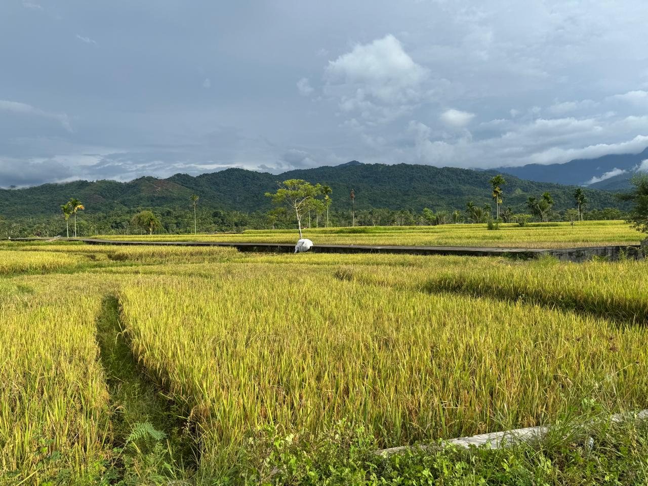 We, the people, must strive for food sovereignty