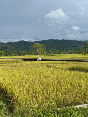 We, the people, must strive for food sovereignty