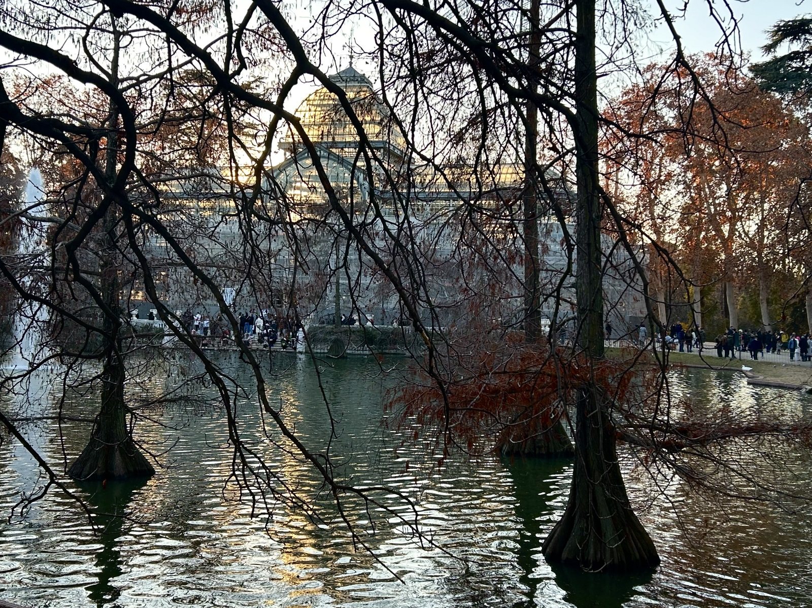 When the Grove let go