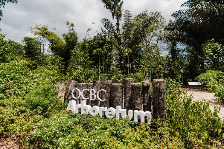 to-update---ocbc-arboretum_credit-nparks[1].jpg