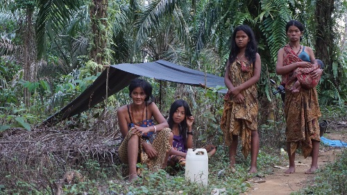 The condition of indigenous women of the Orang Rimba.JPG