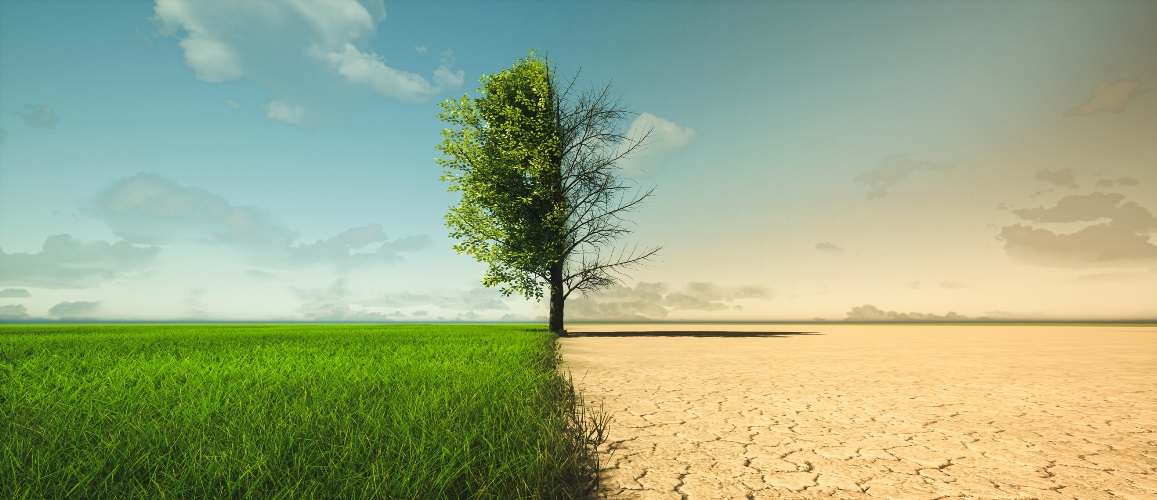 Finland is on track to meet some of the world's most ambitious carbon neutrality targets. This is how it has done it