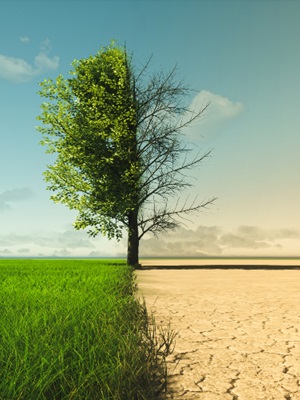 Finland is on track to meet some of the world's most ambitious carbon neutrality targets. This is how it has done it