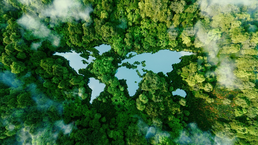 The urgency of climate change: Impacts on human life and corporate responsibility