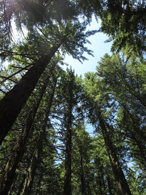 How sustainability can actually improve profitability How sustainability can actually improve profitability