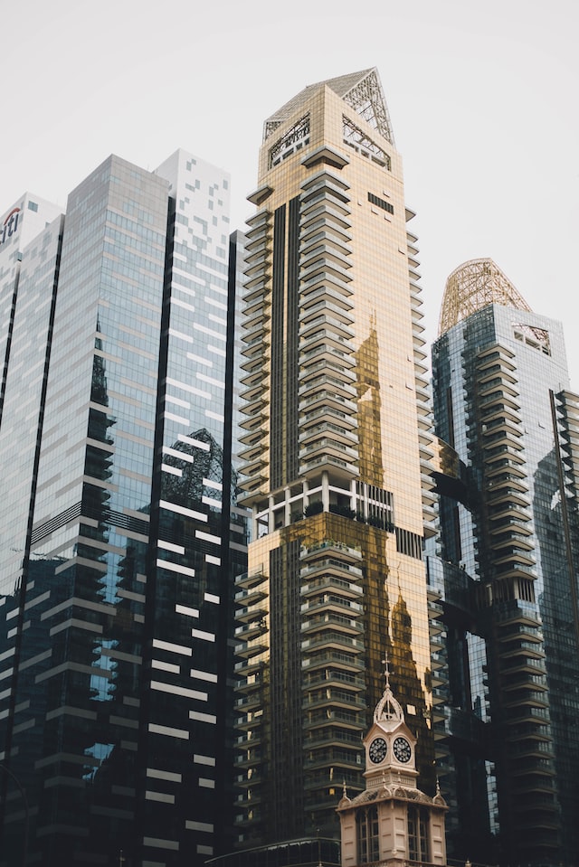 How does stewardship create long-term value?