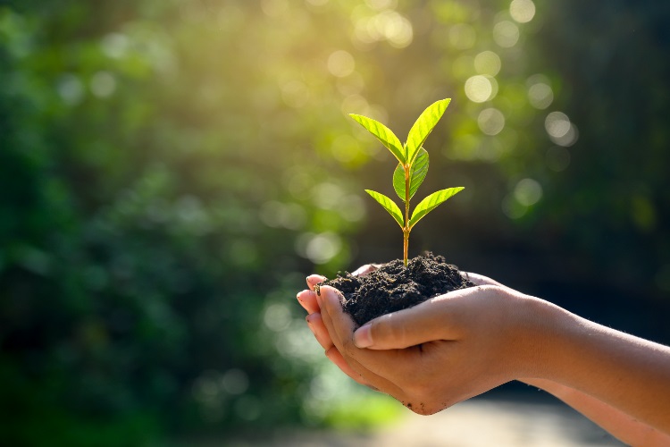 Brown Bag Sessions: Fostering Sustainable Practices in the Workplace
